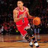 D Rose Fan's profile picture