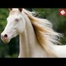 Фото профиля MR.DR.ICE