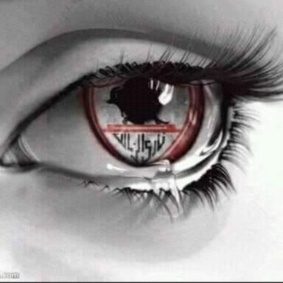 bellaZsc's profile picture