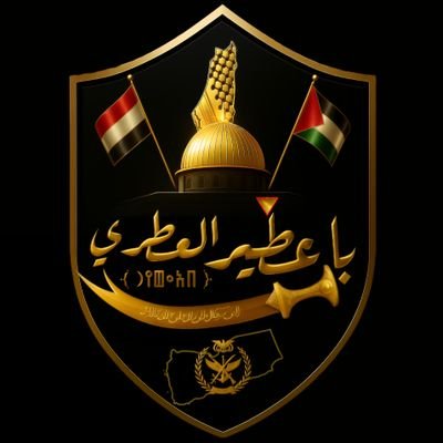 Baotir_Alatry's profile picture