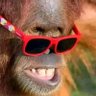 Profilbild von widzoD