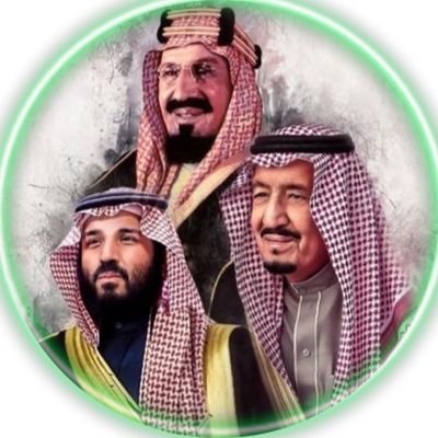 AldmanAlmtwr's profile picture