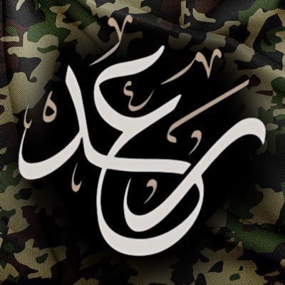 Vista_CEO's profile picture