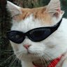 mt.h profil fotoğrafı