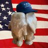 Profilbild von MAGA Elephant 🇺🇸