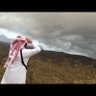 Profilbild von عبد الرحمن