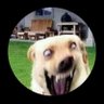 WM profil fotoğrafı