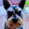 Profilbild von Bruce Burnett