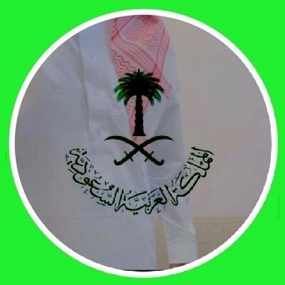 🇸🇦🇸🇦Bn Wayel's profile picture
