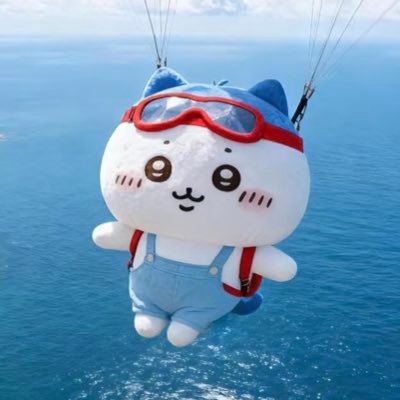 jxjzjx1152281's profile picture