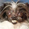nachorsxd profil fotoğrafı