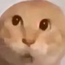 d.'s profile picture