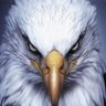 Richard C's profile picture