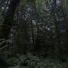 Фото профиля hashii