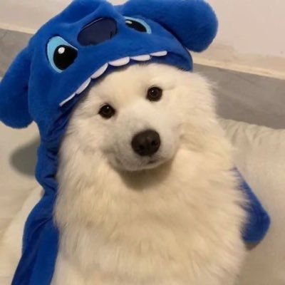 This Account Will Heal Your Depression's profile picture