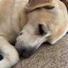 いっとく 的头像