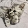 Profilbild von Jack