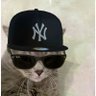 EmmyNation 🕊️👽's profile picture
