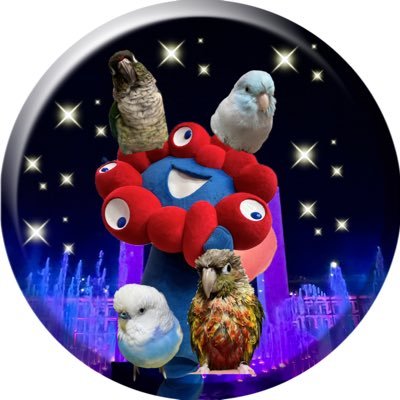 shizumakaron's profile picture