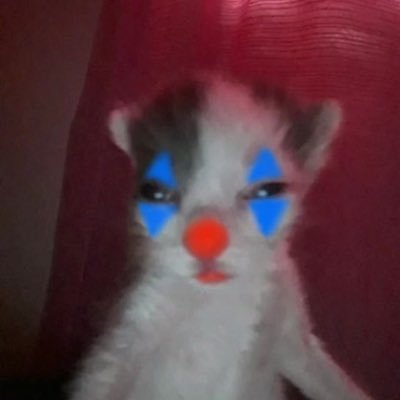 dyki meeks's profile picture