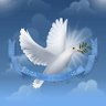 Profilbild von Samudra Gupta סמודרה גופטה🪷