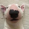 itachi's profile picture