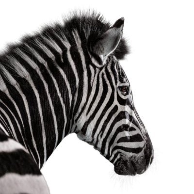 Investec's profile picture