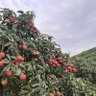 Фото профиля 互联网上冲浪看笑话