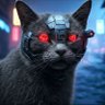 Gray Cat's profile picture