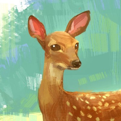 Masashi Kageyama's profile picture