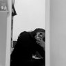 Profilbild von ard