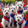 Profilbild von westiemom