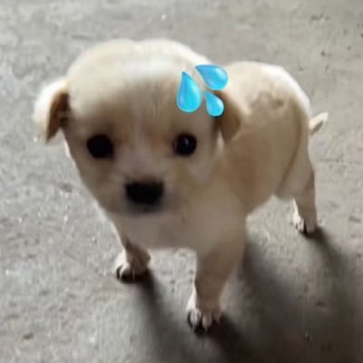 uuxunn's profile picture