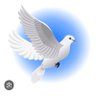 Adalet (m sait)'s profile picture