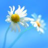 Фото профиля usersnj7tq4b7o