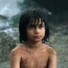 Фото профиля Indian Mowgli