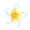 Blua's profile picture