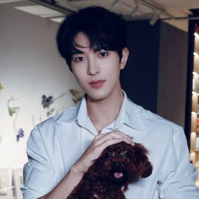 purpIeorchids's profile picture