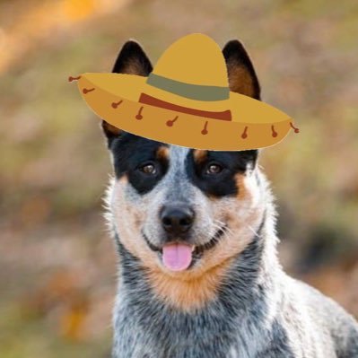 BaxterDogwoods's profile picture