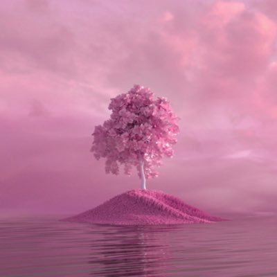 ☁️'s profile picture