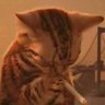 Mex's profile picture
