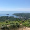 Newer Mainer profil fotoğrafı