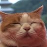 Profilbild von subhumanog