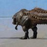 Erectus Rex 的头像