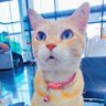 Фото профиля นุวิZunNaZon ม้าวฟู่วว😼