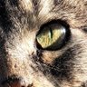 nathy pilon's profile picture