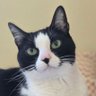 Tequila Cat 的头像