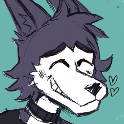windy_solstice's profile picture