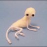 Raz's profile picture