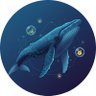 Profilbild von Meme Whale